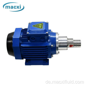 Quantitative Getriebe Hastelloy Drive Gear Pumpe